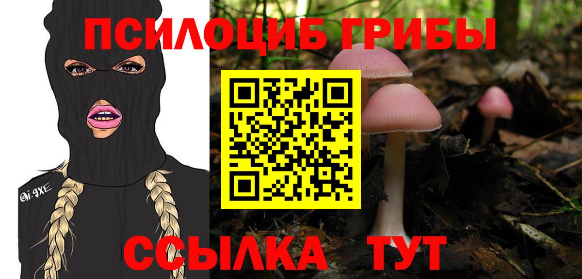 Тольятти  Галлюциногенные грибы GOLDEN TEACHER  Вход с VPN 